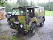 Bilde av volvo valp